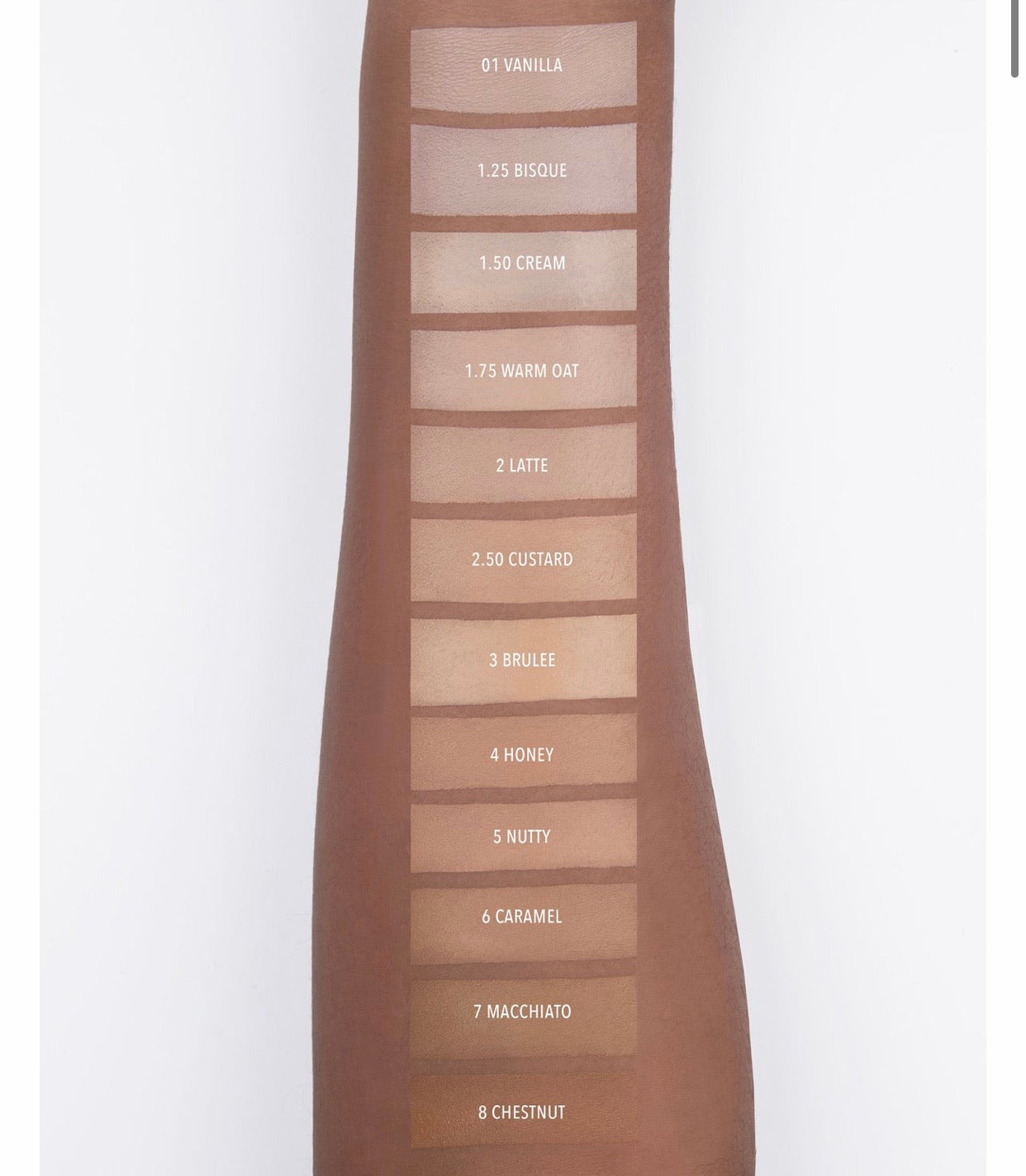 Corrector MEGA CONCEALER MOIRA